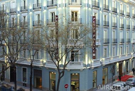 Hotel Petit Palace Art Gallery 